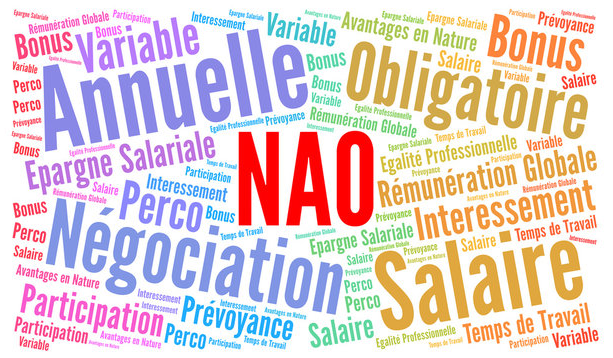 N.A.O. 2026 Terminé